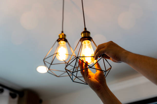 Best Home Electrical Repair  in Elko New Market, MN